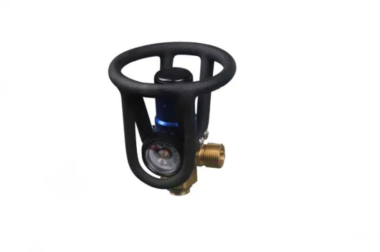 Hot Sale 40 L Steel Oxygen Gas Cylinders From China Factory