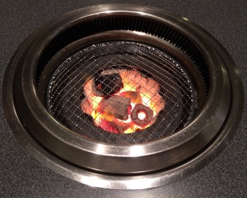 Disposable Barbecue Grill Mesh