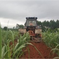 Tractor de ventas en caliente Caña de azúcar Tirador Rotario / Cultivador
