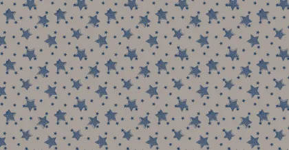 Star Design Mattress Tricot Polyester Printing Fabric