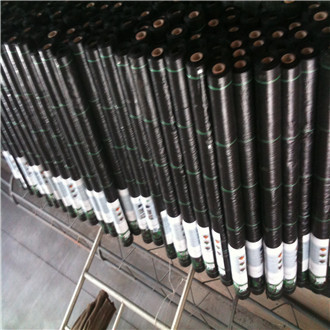 We Manufacture 2m Width Plain Woven 12X12 Mesh Plastic Weed Mat
