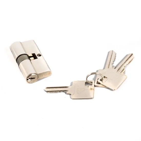 Euro Standard Profession Manufacturer Brass Door Mortise Lock Cylinder