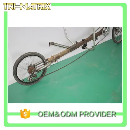 China supply classical adult two people recumbent tricycle