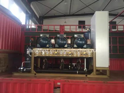 Compressor Unit for Cold Storage Refrigeration/ Cold Room
