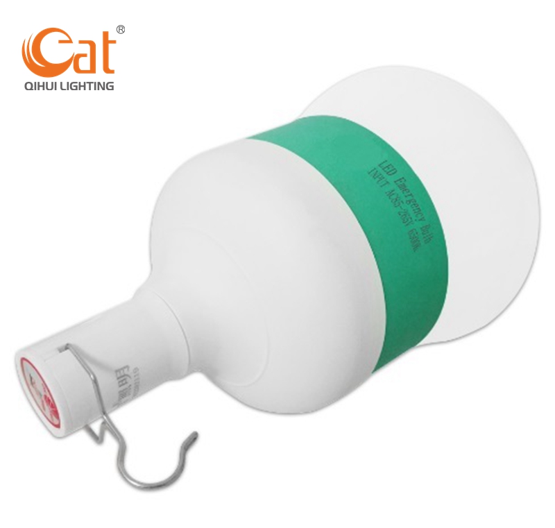 Portable outdoor emergency bulb with hook