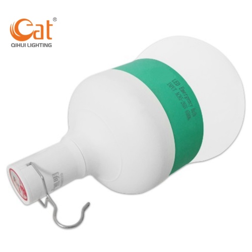 Portable outdoor emergency bulb with hook