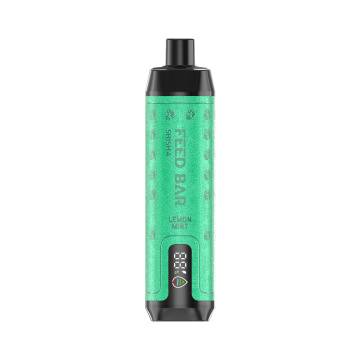 VapSolo Shisha 15000 Puffs Disposable Vape Europe Wholesale