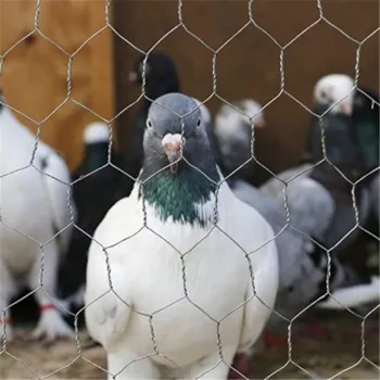 Hot Dip Galvanized Chicken Wire Mesh Fencing - Hexagonal Coop Netting