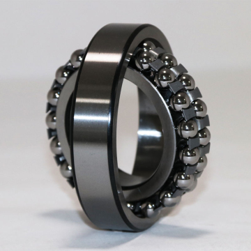 Self Aligning Ball Bearing 1300 2200