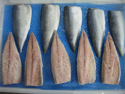 Frozen Mackerel Fish Fillet Products