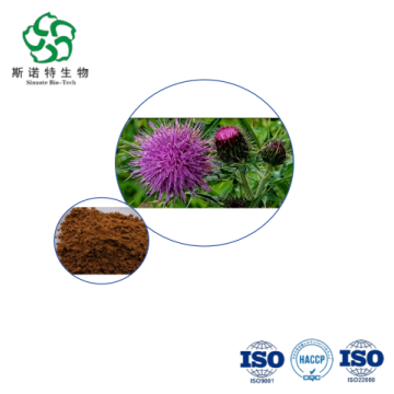 Milk Thistle Extract - Bulk Silymarin 80% for Liver Health Supplements