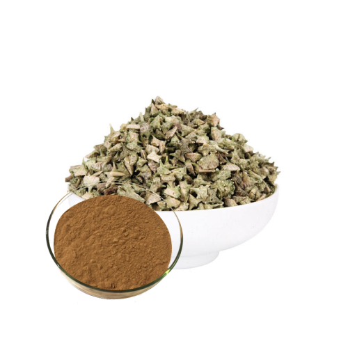 NaturalTribulus Terrestris Extract Powder In Bulk
