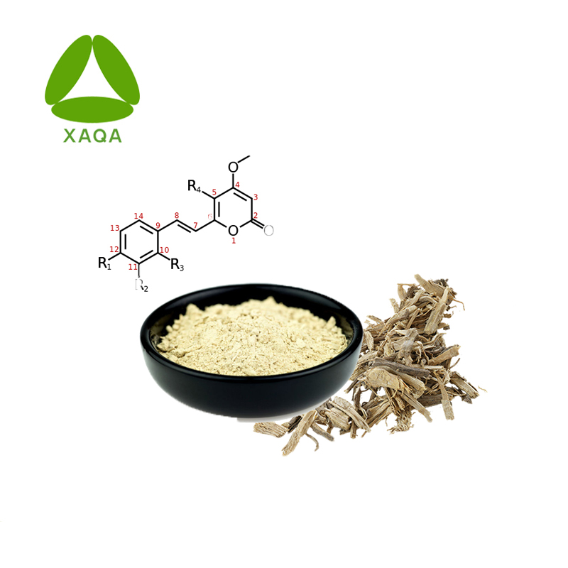 Top Quality Kava Kava Extract Kavalactones 70% Powder