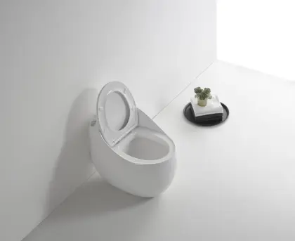 Ceramic Sanitary Ware One Piece Toilet
