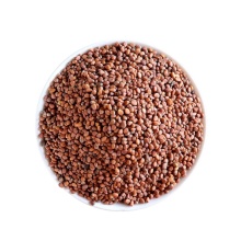 Radish Seed Digestive Herbal Supplement