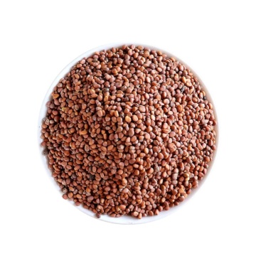 Radish Seed Digestive Herbal Supplement