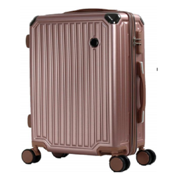 ABS PC Trolley Luggage Fascase