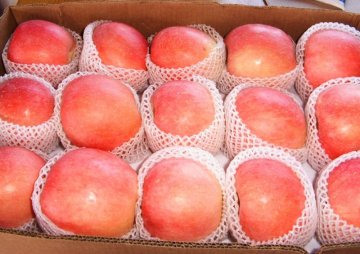 2011 Shandong Red Fuji Apple