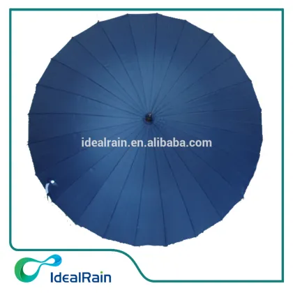 Doorman limousine elegant king umbrella