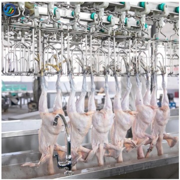 Complete Chicken Slaughtering Line Equipment: Bleeding, Plucking, Conveyor Rail for Poultry Abattoirs