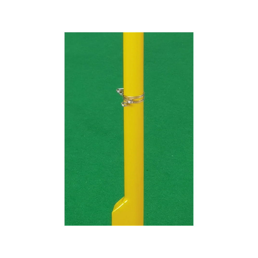 Standard Game Badminton Column