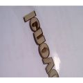 Lenovo Logos Nickel Thick Nameplate