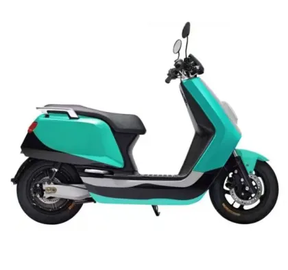 gas scooters new citycoco electric scooter 2 wheel