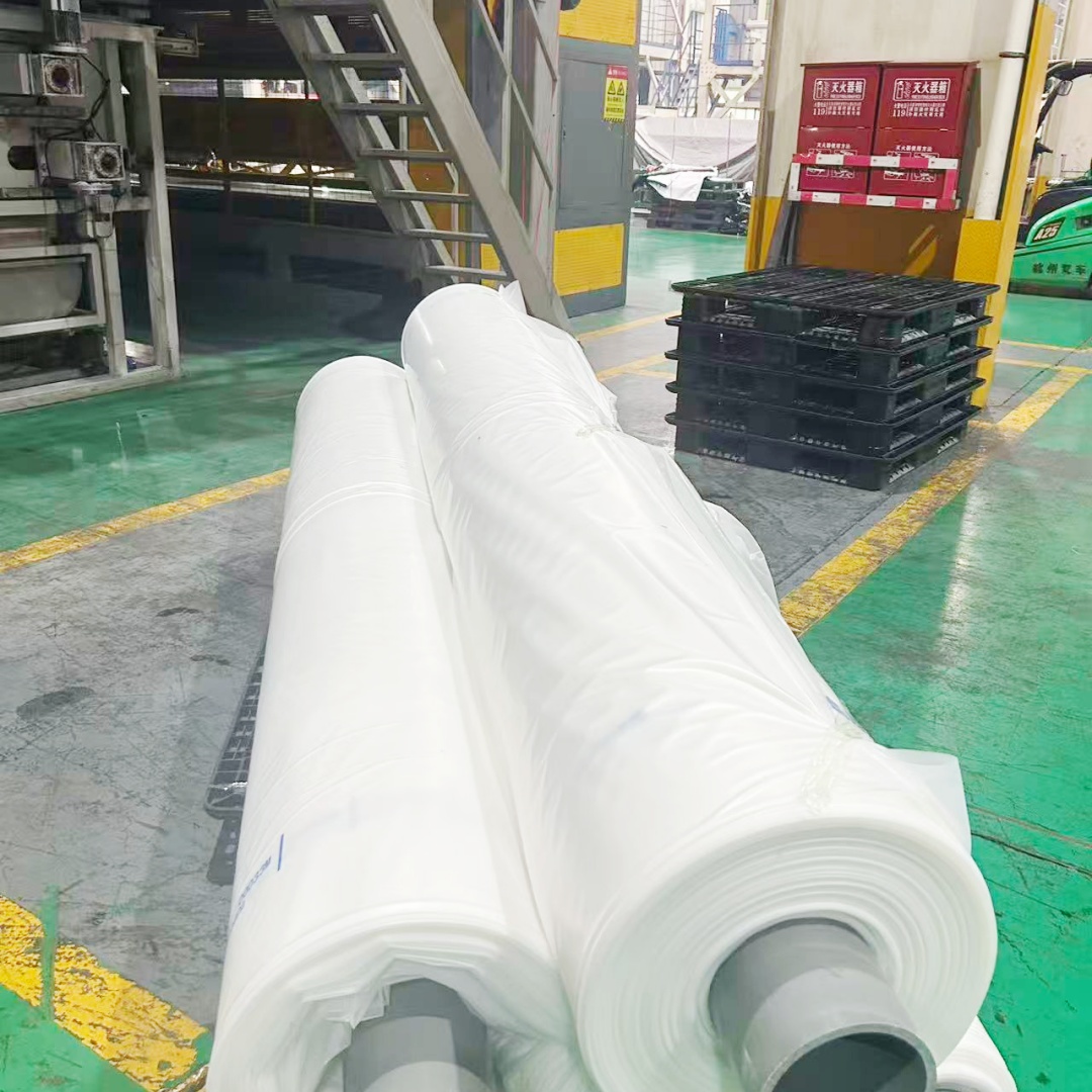 horticulture_hyroponic greenhouse covering sheet plastic film (9)