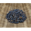 مستخلص Ligustrum Lucidum للمكملات الغذائية