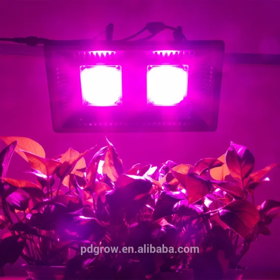 Grow Lights Item Type and Aluminum Lamp Body Material Grow Light LED 200W COB Led Grow Light Full Spectrum