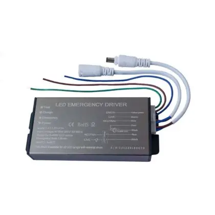 Emergency light conversion driver