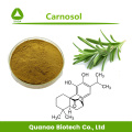 Estratto di foglie di rosmarino Salviol / carnosol in polvere 8%-98%