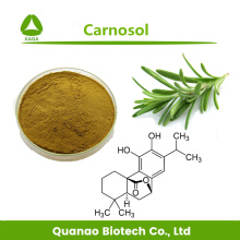 Rosemary Leaf Extract Salviol / Carnosol Powder 8%-98%