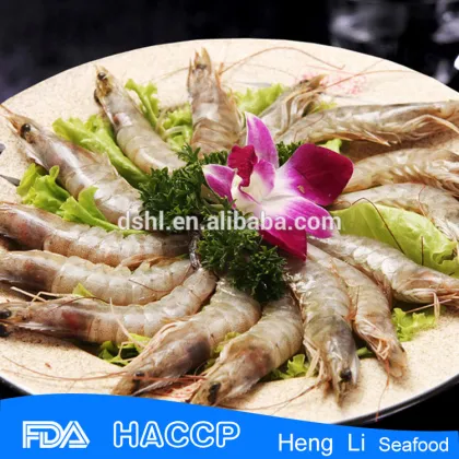 sea shrimp