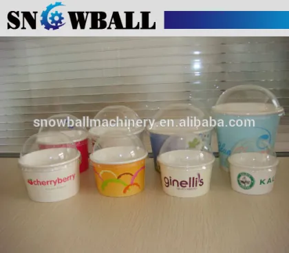 Ice Cream Cup / Ice Cream Bowl / Ice Cream Packaging