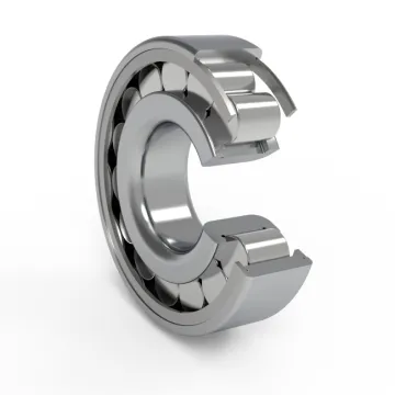 Single Row Full Complement Cylindrical Roller Bearings