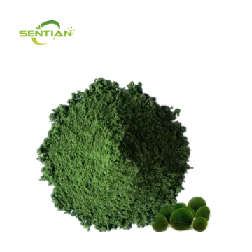 Best Chlorella Powder for Health and Wellness
