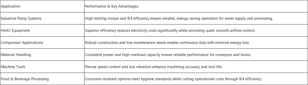 IE4 3 Phase Induction AC Motor Application Performance & Advantages