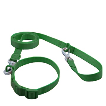 Hızlı Sürüm ve Logo ile Yüksek Kaliteli Özel Renk Polyester Köpek Yakası ve tasma Seti - Perçinli Toptan 50 Set