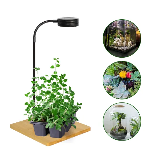Full Spectrum Tabletop Plant Aquarium LED Light with Bamboo Board for Succulents