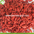 Bekalan kilang Pemakanan Buah Kering Goji Berry