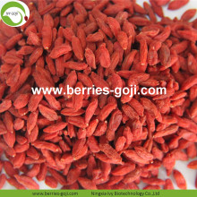 Factory supply Nutrition Dry Fruit Goji Berry