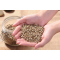 Wholesale Low Price High Purity Hemp Seed