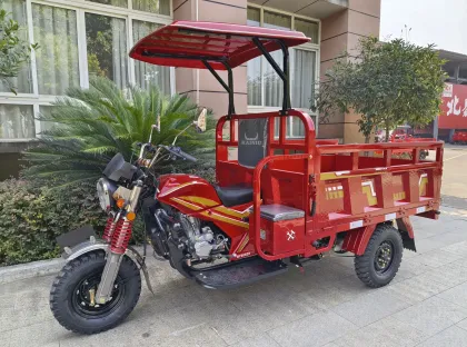 Powerful Motor Tricycle for Transport