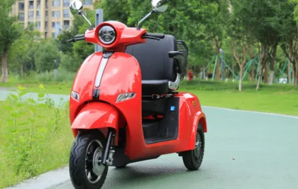 Affordable Customized Handicapped Scooters, Electric Tricycles, and Mobility Kick Mopeds for Adults