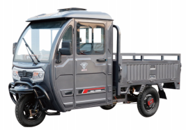 BPC-150 Electric Leisure Tricycle