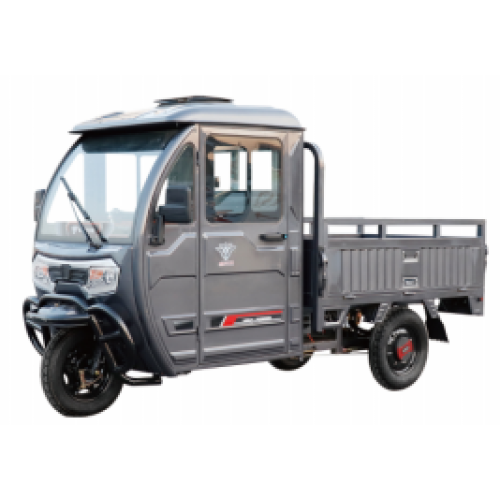 BPC-150 Electric Leisure Tricycle