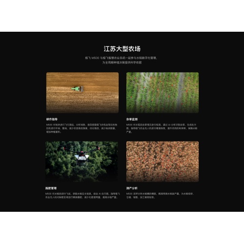 Test product watermelon