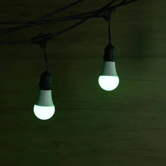 Garden String Lighting Decorative Festoon String Light