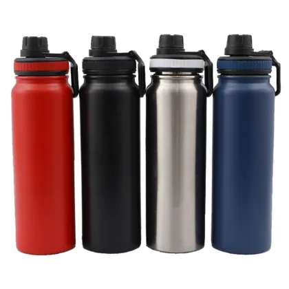 Wholesale Vacuum Insulated Flask Thermos Bottle for Water (750ml)